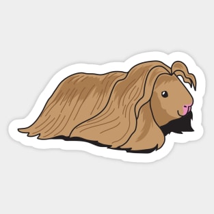 Very Long Haired Guinea pig Sticker